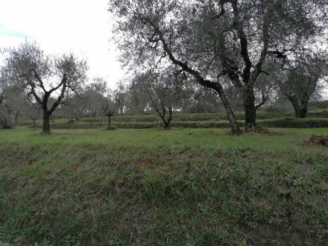 Terreno in vendita a Casciana Terme Lari, Cevoli