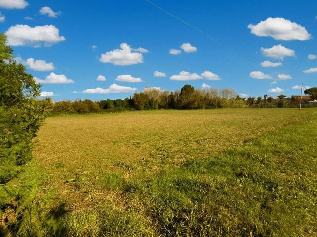 Terreno in vendita a Casciana Terme Lari, Perignano
