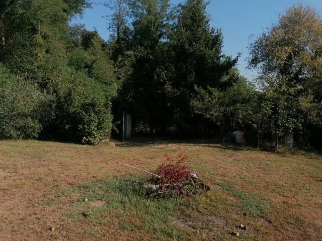 Terreno in vendita a Crespina Lorenzana, Crespina