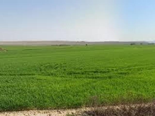 Terreno in vendita a Casciana Terme Lari, Lari