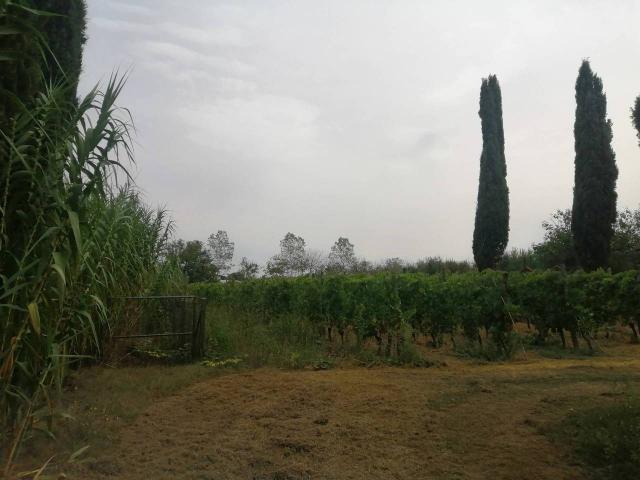 Terreno in vendita a Casciana Terme Lari, Perignano