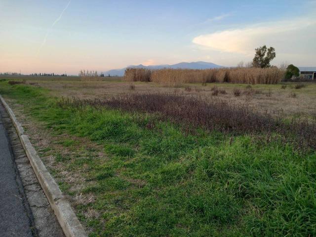 Terreno in vendita a Casciana Terme Lari, Lavaiano