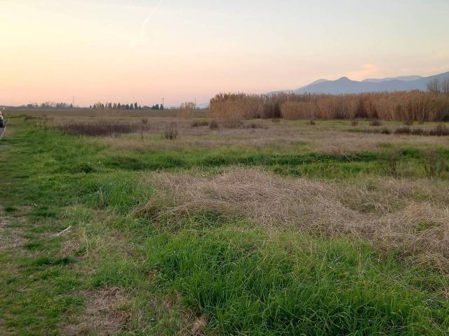Terreno in vendita a Casciana Terme Lari, Lavaiano