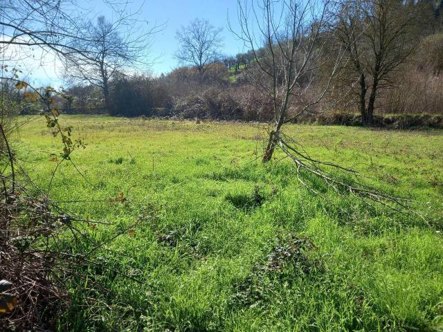 Terreno in vendita a Casciana Terme Lari, Casciana Terme
