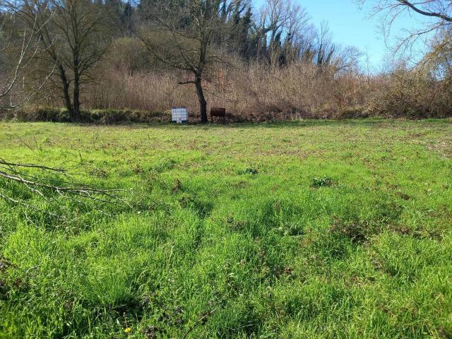 Terreno in vendita a Casciana Terme Lari, Casciana Terme