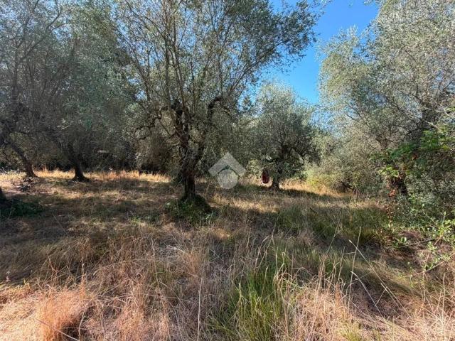 Terreno in vendita a Casciana Terme Lari, Cevoli