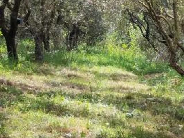 Terreno in vendita a Cascina, Toscana