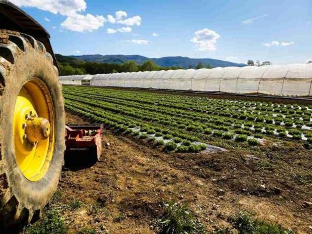 Terreno in vendita a Cascina, Toscana
