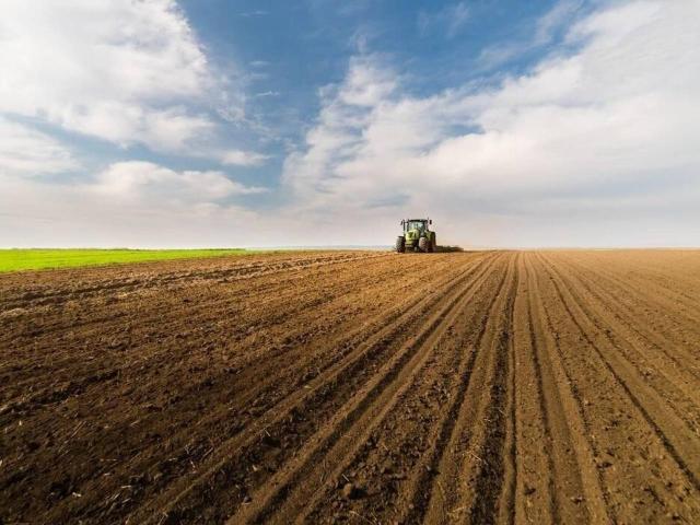 Terreno in vendita a Cascina, Toscana