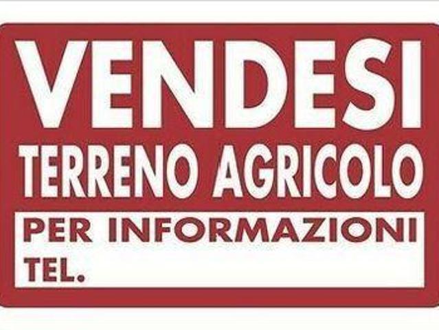 Terreno in vendita a Navacchio, Cascina