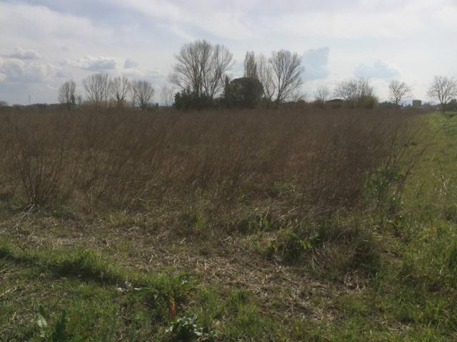 Terreno in vendita a Zambra, Cascina