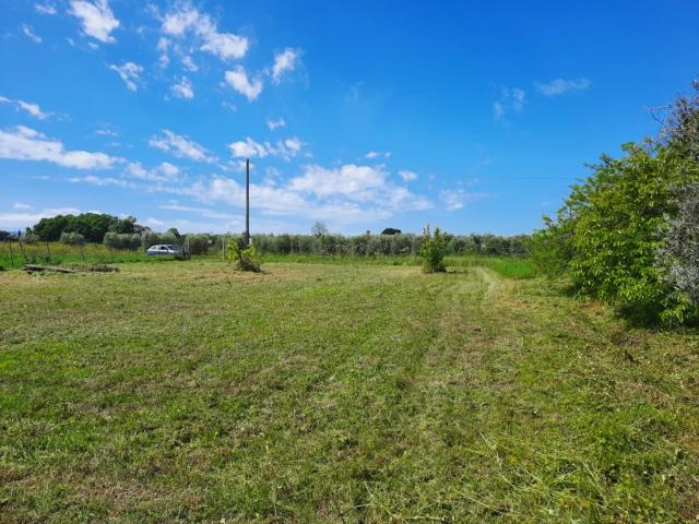 Terreno in vendita a Latignano, Cascina