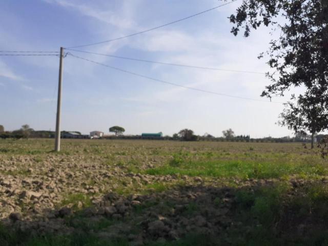 Terreno in vendita a San Frediano a Settimo, Cascina