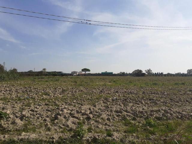 Terreno in vendita a San Frediano a Settimo, Cascina