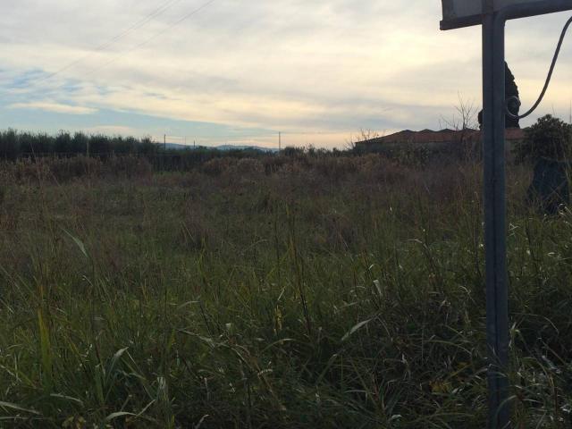 Terreno in vendita a San Prospero, Cascina