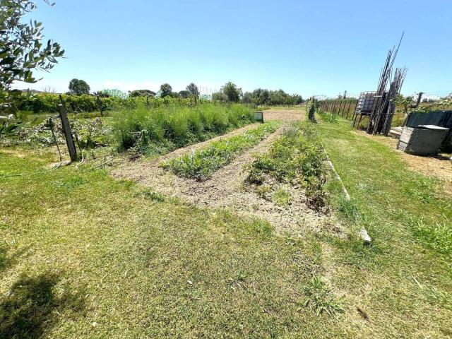 Terreno in vendita a Navacchio, Cascina