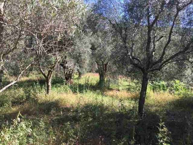 Terreno in vendita a Mezzano, Caserta