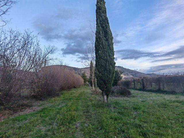 Terreno in vendita a San Clemente, Caserta