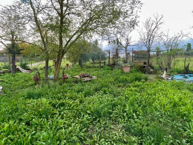 Terreno in vendita a Castelnuovo Berardenga, Toscana