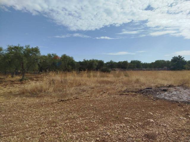 Terreno in vendita a Puglia, Bari