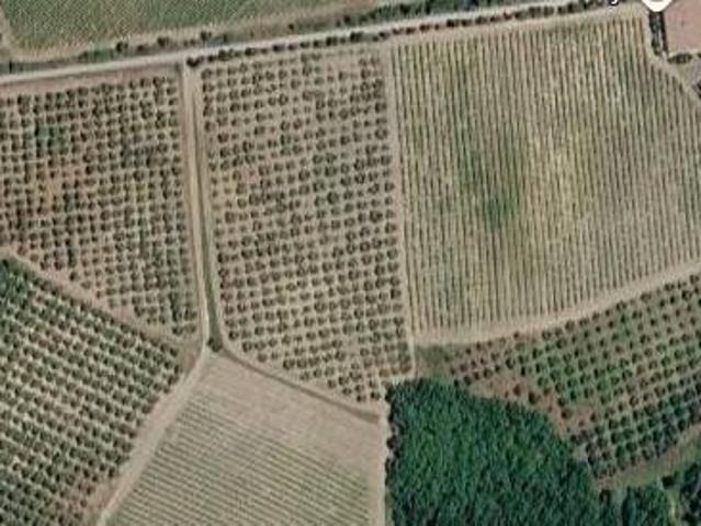 Terreno in vendita a Unione dei Comuni Montani Amiata Grossetana, Castel Del Piano