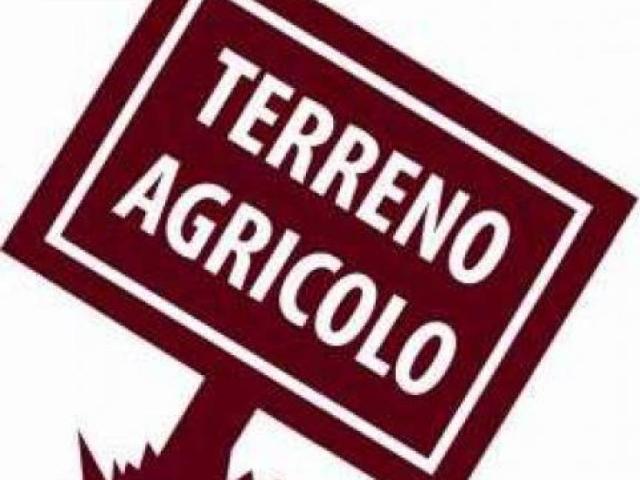 Terreno in vendita a Piattoni, Marche