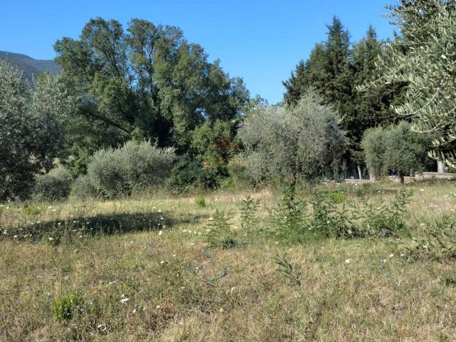 Terreno in vendita a Roma Capitale, Lazio