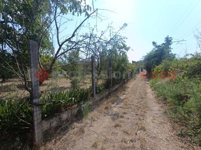 Terreno in vendita a Castel San Giorgio, Campania