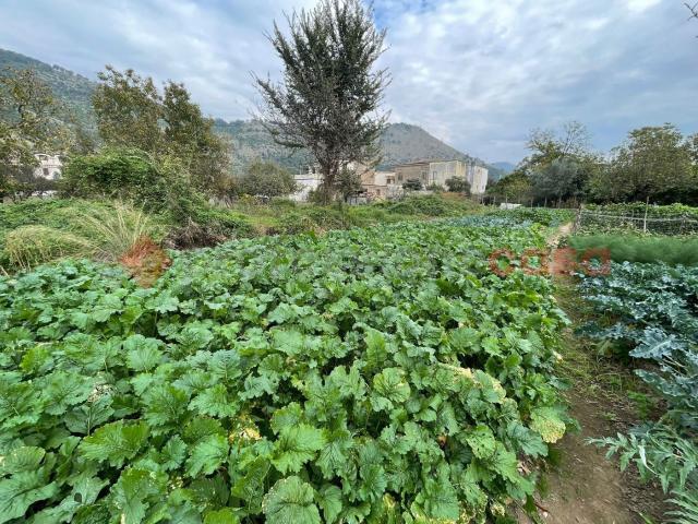 Terreno in vendita a Castel San Giorgio, Campania