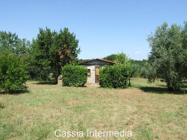 Terreno in vendita a Nepi, Lazio