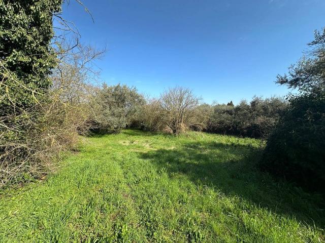 Terreno in vendita a Castel Sant'elia, Lazio