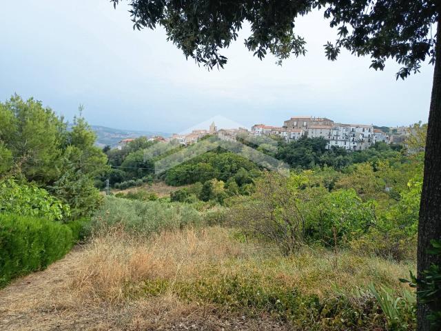 Terreno in vendita a Castelbottaccio, Molise