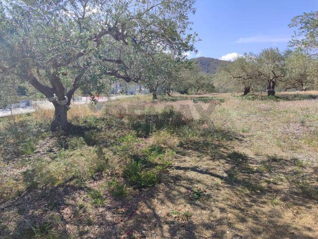 Terreno in vendita a Casteldaccia, Sicilia