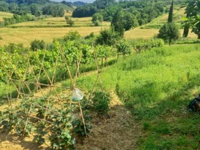 Terreno in vendita a Unione dei Comuni Circondario dell'Empolese Valdelsa, Castelfiorentino