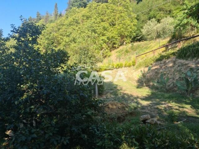 Terreno in vendita a Bientina, Toscana