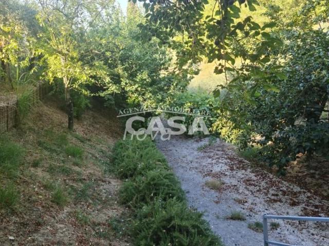 Terreno in vendita a Bientina, Toscana