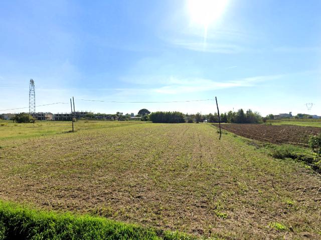 Terreno in vendita a Castelfranco Di Sotto, Toscana