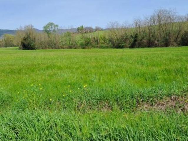 Terreno in vendita a Castelfranco Di Sotto, Toscana