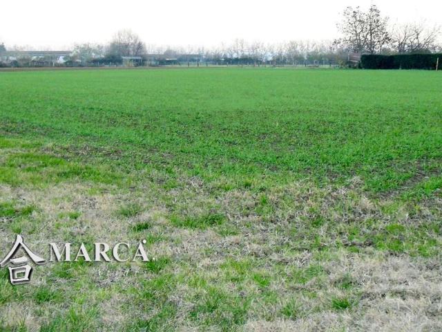Terreno in vendita a Castelfranco Veneto, Veneto