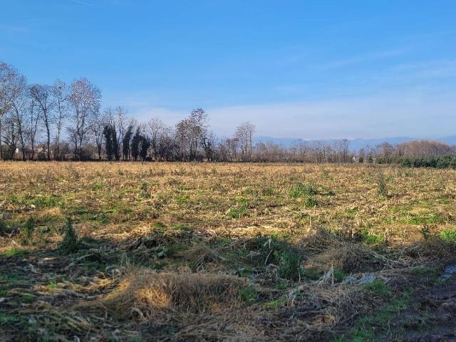Terreno in vendita a Castelfranco Veneto, Veneto