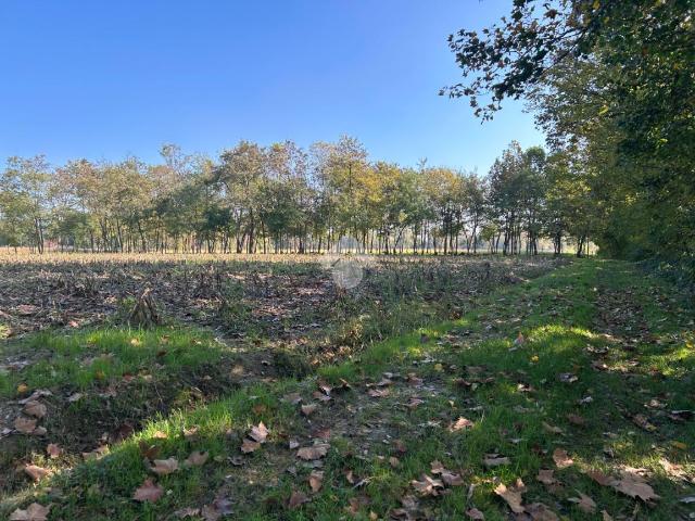 Terreno in vendita a Castelfranco Veneto, Veneto