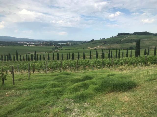 Terreno in vendita a Castellina In Chianti, Toscana