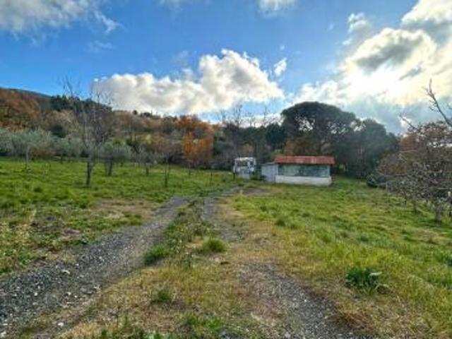 Terreno in vendita a Castellina Marittima, Toscana