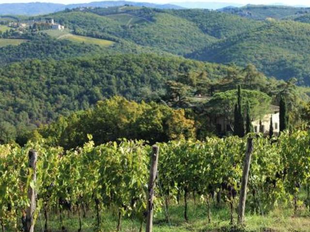 Terreno in vendita a Castelnuovo Berardenga, Toscana