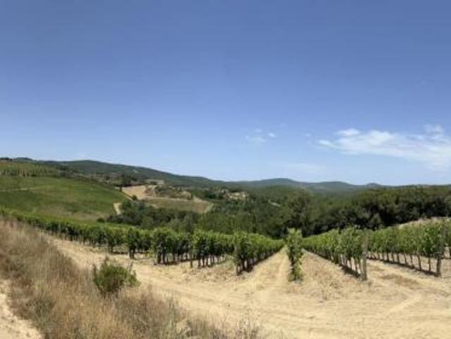 Terreno in vendita a Castelnuovo Berardenga, Toscana