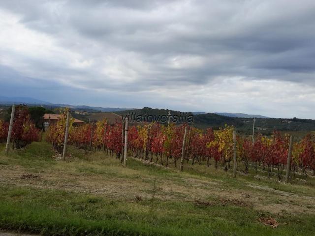 Terreno in vendita a Castelnuovo Berardenga, Toscana