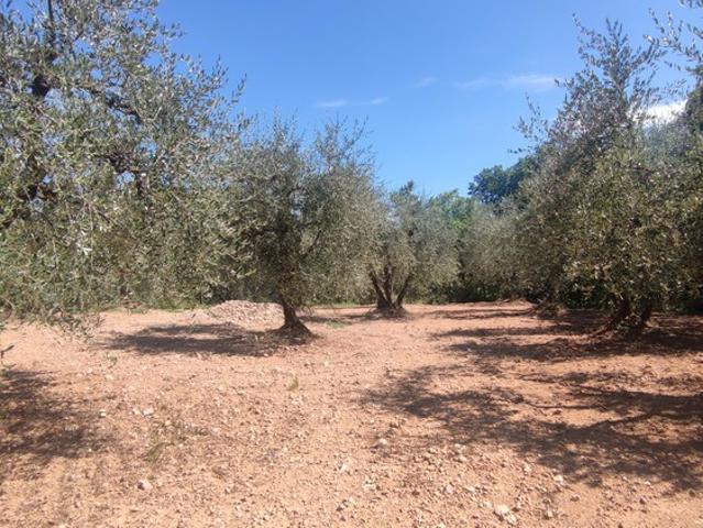 Terreno in vendita a Valiano, Castelnuovo Berardenga