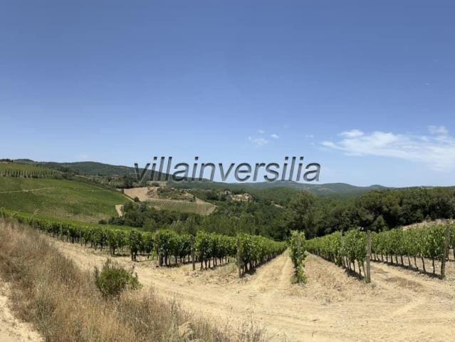 Terreno in vendita a Castelnuovo Berardenga, Toscana