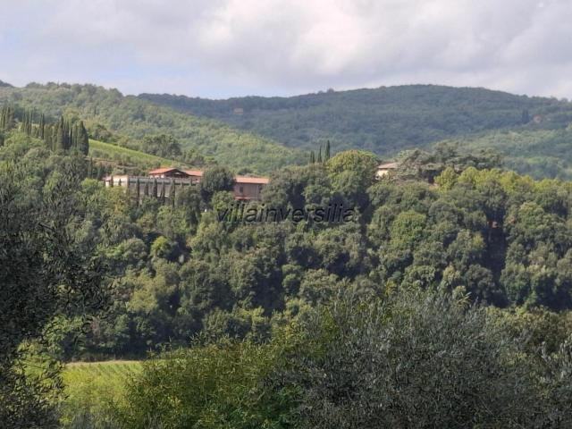 Terreno in vendita a Castelnuovo Berardenga, Toscana