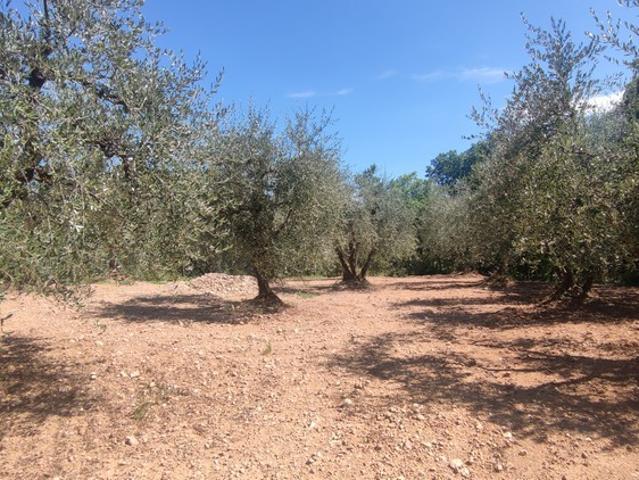 Terreno in vendita a Castelnuovo Berardenga, Siena